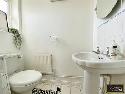 Picture 11